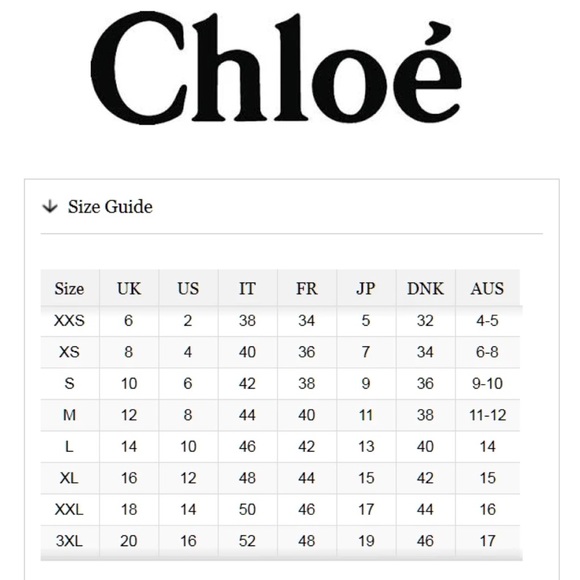 CHLOÉ Optic White Guipure Lace Cutout Blouse Sz 6 - Picture 12 of 13